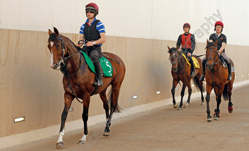 Idaho-0001 
 IDAHO leads WASHINGTON DC (right) and WAR DECREE (centre) exercising at Meydan 29 Mar 2018 - Pic Steven Cargill / Racingfotos.com