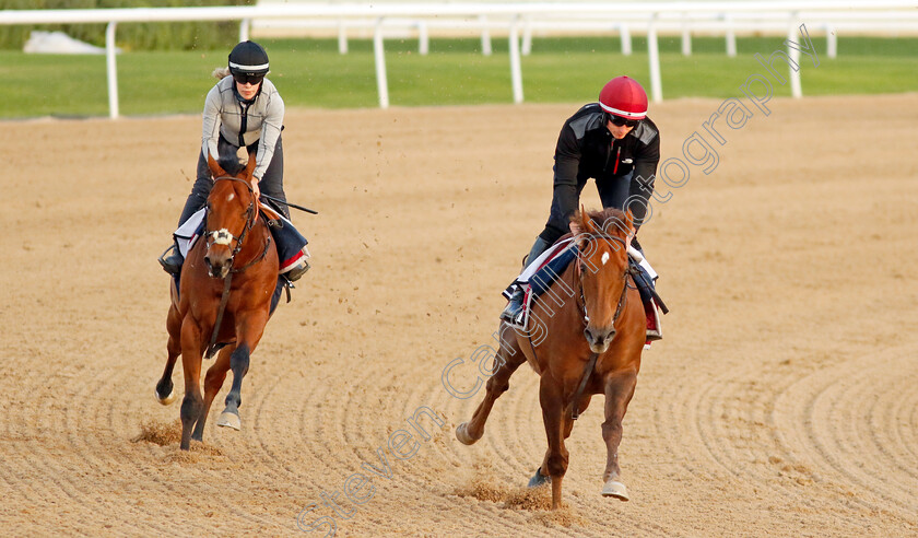 Mostawaa-and-The-Caribbean-0001 
 MOSTAWAA leading THE CARIBBEAN in training at the Dubai Racing Carnival
Meydan 1 Mar 2024 - Pic Steven Cargill / Racingfotos.com