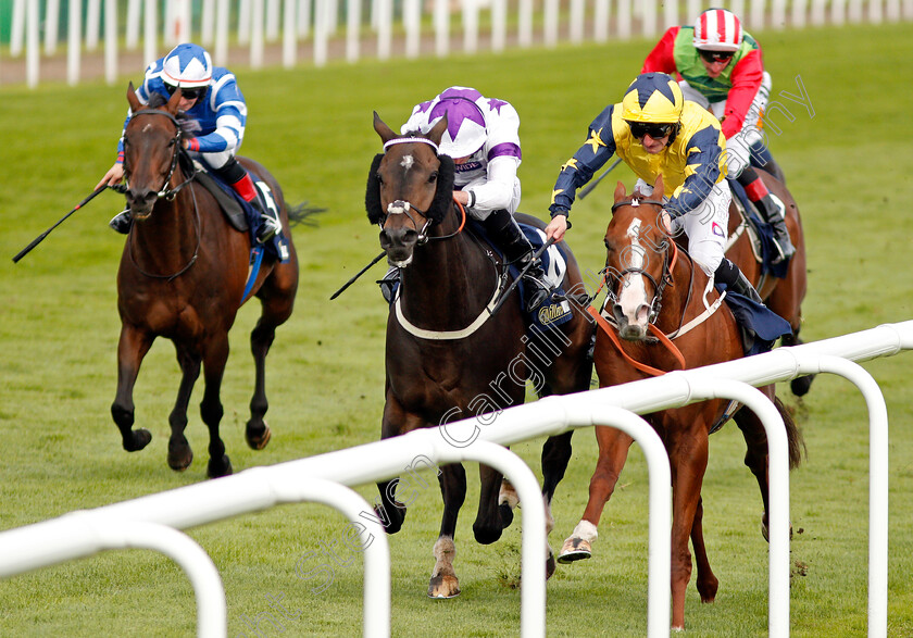 Time-To-Study-0001 
 TIME TO STUDY (right, P J McDonald) beats BYRON FLYER (centre) in The William Hill Mallard Handicap Doncaster 15 Sep 2017 - Pic Steven Cargill / Racingfotos.com