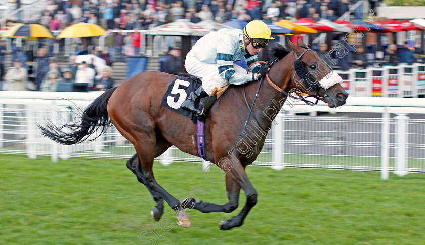 Simoon-0002 
 SIMOON (Jason Watson) wins The Orchard Thieves Handicap
Goodwood 25 Sep 2019 - Pic Steven Cargill / Racingfotos.com