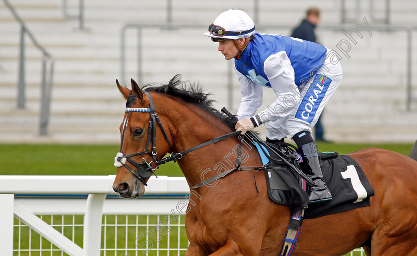 Atherstone-Warrior-0002 
 ATHERSTONE WARRIOR (Kieran O'Neill)
Ascot 1 May 2024 - Pic Steven Cargill / Racingfotos.com