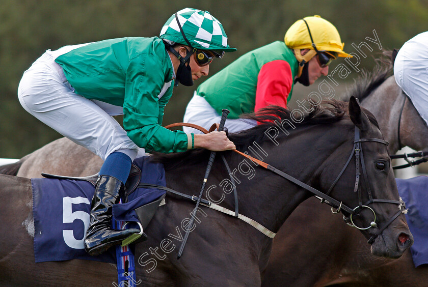 Treaty-Of-Dingle-0004 
 TREATY OF DINGLE (William Buick) wins The Betway Claiming Stakes
Lingfield 26 Aug 2020 - Pic Steven Cargill / Racingfotos.com