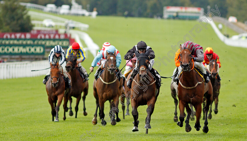 Saras-Hope-0003 
 SARAS HOPE (centre, Kevin Lundie) beats PETTOCHSIDE (right) in The Ladbrokes Handicap
Goodwood 28 Aug 2020 - Pic Steven Cargill / Racingfotos.com