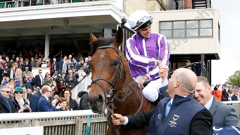 Magna-Grecia-0010 
 MAGNA GRECIA (Donnacha O'Brien) after The Qipco 2000 Guineas
Newmarket 4 May 2019 - Pic Steven Cargill / Racingfotos.com