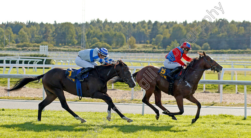 King-Of-Ten-0001 
 KING OF TEN (Elione Chaves) beats STAMFORD STREET (left) in The Appel Au Maitre Svealandlopning
Bro Park, Sweden 17 Sep 2023 - Pic Steven Cargill / Racingfotos.com