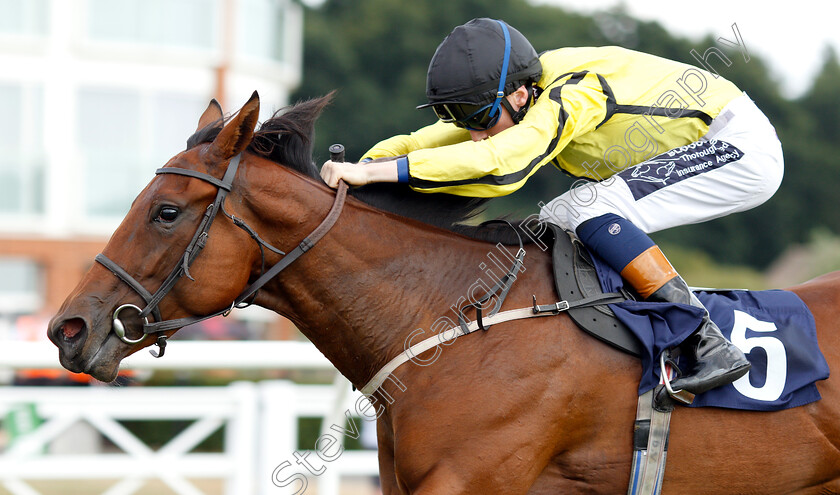 Solesmes-0007 
 SOLESMES (David Egan) wins The 188bet Live Casino Claiming Stakes
Lingfield 25 Jul 2018 - Pic Steven Cargill / Racingfotos.com