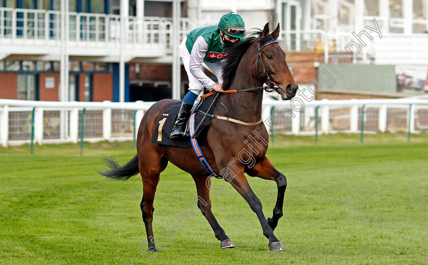 Kryptos-0001 
 KRYPTOS (William Buick)
Nottingham 14 Oct 2020 - Pic Steven Cargill / Racingfotos.com