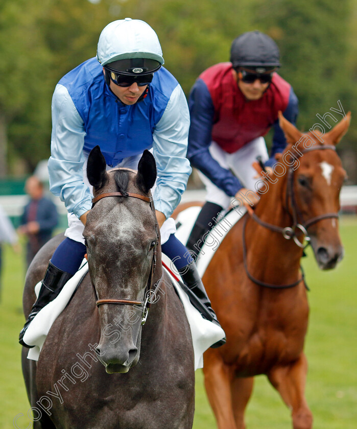 Angel-Guidance-0001 
 ANGEL GUIDANCE (Mickael Barzalona)
Deauville 13 Aug 2023 - Pic Steven Cargill / Racingfotos.com