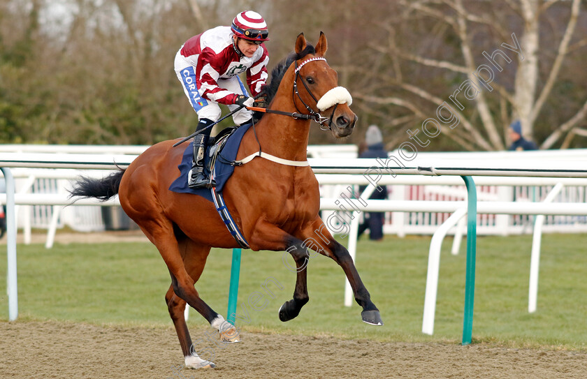 Woodstock-City-0001 
 WOODSTOCK CITY (Kieran O'Neill)
Lingfield 20 Jan 2024 - Pic Steven Cargill / Racingfotos.com