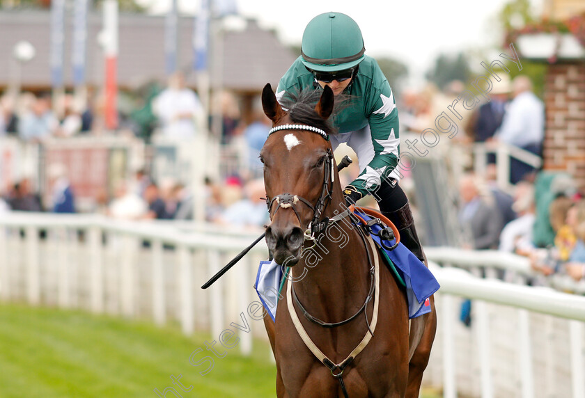 Nazanin-0001 
 NAZANIN (Hollie Doyle)
York 19 Aug 2021 - Pic Steven Cargill / Racingfotos.com