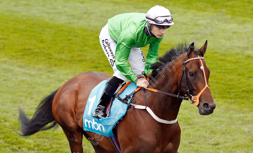 Arthur-Kitt-0001 
 ARTHUR KITT (Richard Kingscote)
Chester 8 May 2019 - Pic Steven Cargill / Racingfotos.com