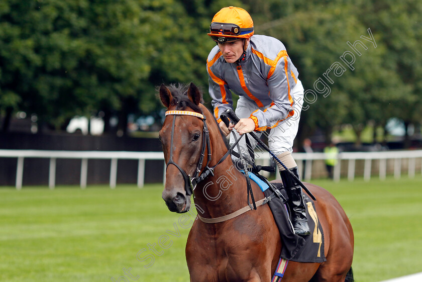 Primetime-0001 
 PRIMETIME (Kieran O'Neill)
Newmarket 28 Jul 2023 - Pic Steven Cargill / Racingfotos.com