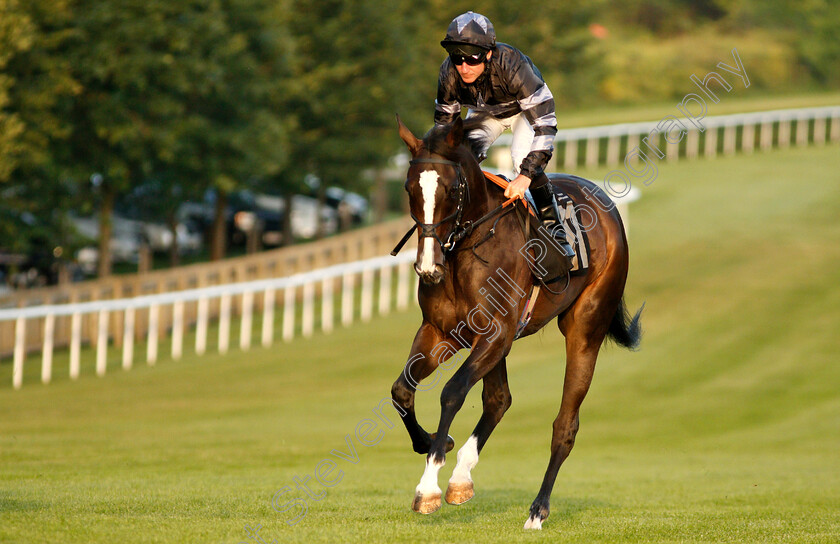 Whispering-Beauty-0001 
 WHISPERING BEAUTY (John Egan)
Newmarket 28 Jun 2019 - Pic Steven Cargill / Racingfotos.com