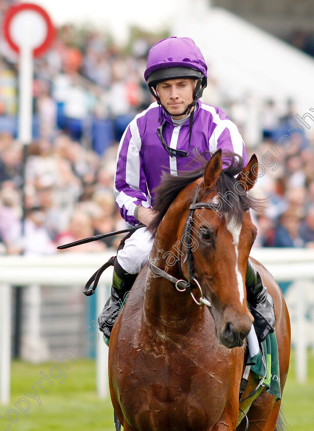 Japan-0014 
 JAPAN (Ryan Moore) after The Juddmonte International Stakes
York 21 Aug 2019 - Pic Steven Cargill / Racingfotos.com