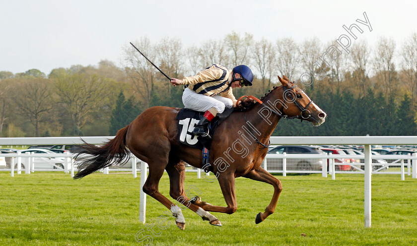 Lunar-Jet-0003 
 LUNAR JET (Jimmy Quinn) beats ADAMANT (left) in The Dubai Duty Free Millennium Millionaire Handicap Newbury 21 Apr 2018 - Pic Steven Cargill / Racingfotos.com