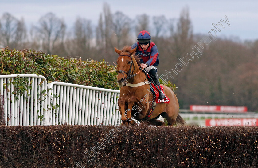 Colonel-Harry-0001 
 COLONEL HARRY (Gavin Sheehan)
Sandown 3 Feb 2024 - Pic Steven Cargill / Racingfotos.com