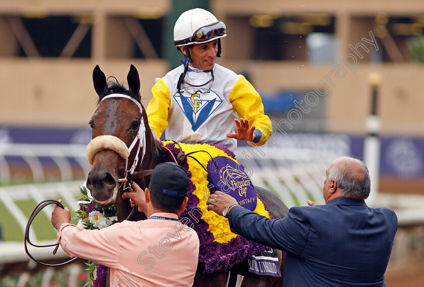 Forever-Unbridled-0007 
 FOREVER UNBRIDLED (John Velazquez) after The Breeders' Cup Distaff, Del Mar USA 3 Nov 2017 - Pic Steven Cargill / Racingfotos.com