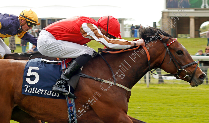 Give-And-Take-0007 
 GIVE AND TAKE (James Doyle) wins The Tattersalls Musidora Stakes York 16 May 2018 - Pic Steven Cargill / Racingfotos.com