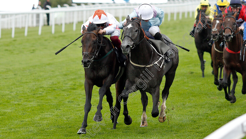 Cobra-Eye-0003 
 COBRA EYE (left, Frankie Dettori) beats FUWAYRIT (right) in The EBF Maiden Stakes
Goodwood 30 Jul 2019 - Pic Steven Cargill / Racingfotos.com