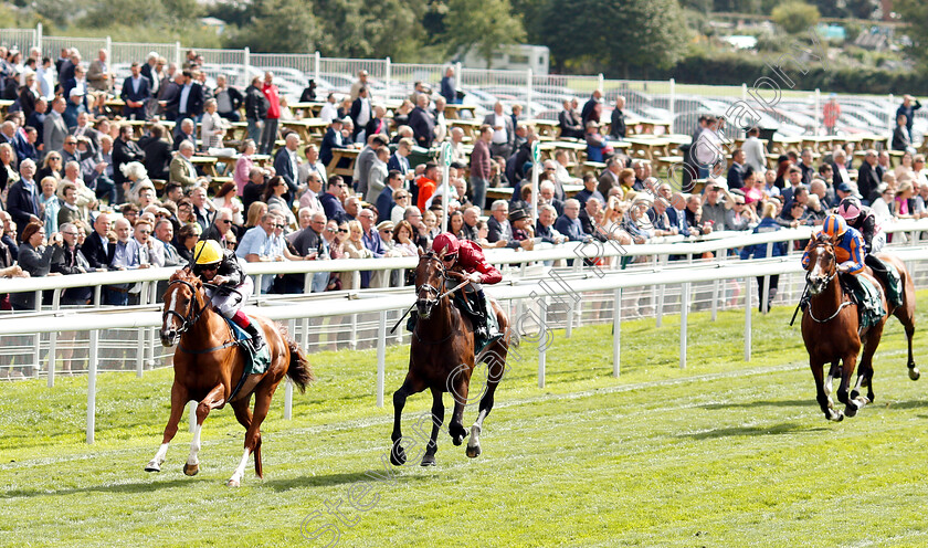 Stradivarius-0003 
 STRADIVARIUS (Frankie Dettori) beats COUNT OCTAVE (right) in The Weatherbys Hamilton Lonsdale Cup
York 24 Aug 2018 - Pic Steven Cargill / Racingfotos.com