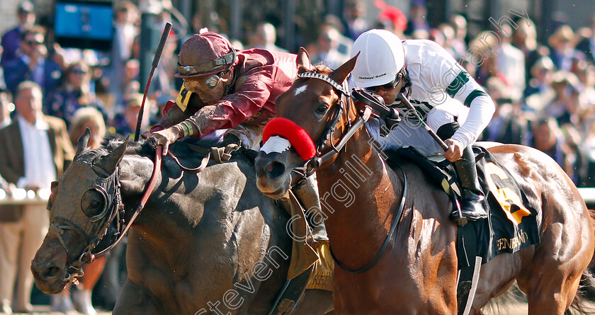 Business-Model-and-B-Dawk-0001 
 BUSINESS MODEL (left, Tyler Gaffalione) dead-heats with B DAWK (right, Luis Saez) in The Haggin Julep Cup
Breeders Cup Meeting, Keeneland USA, 4 Nov 2022 - Pic Steven Cargill / Racingfotos.com