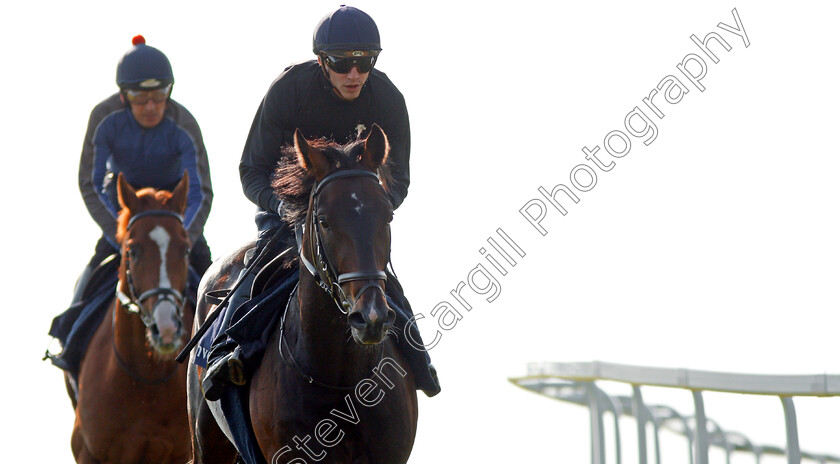 Young-Rascal-0009 
 YOUNG RASCAL (James Doyle) exercising with ORIGINAL CHOICE (left) at Epsom Racecourse in preparation for The Investec Derby, 22 May 2018 - Pic Steven Cargill / Racingfotos.com