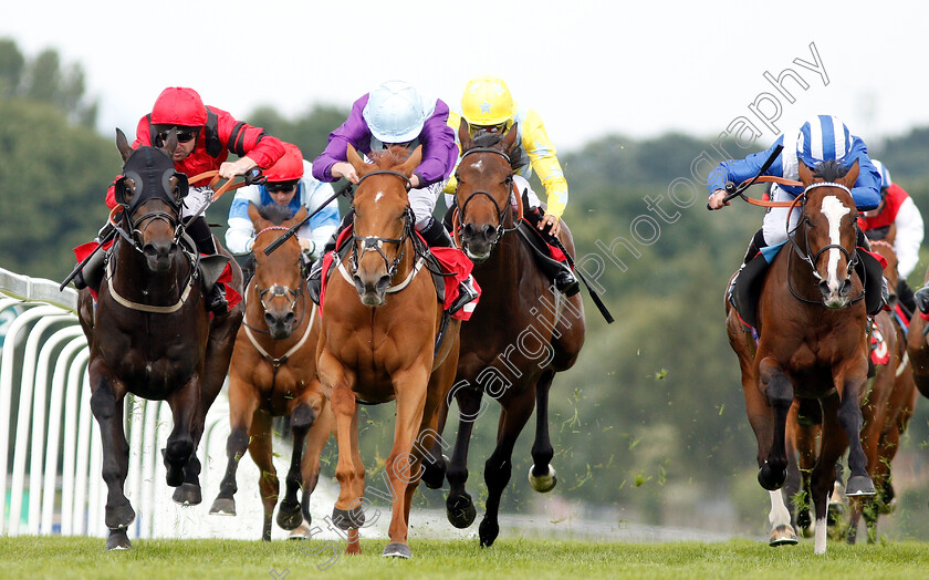 Cosmopolitan-Queen-0004 
 COSMOPOLITAN QUEEN (2nd left, Ryan Moore) beats CHARACTER WITNESS (left) and WARSAAN (right) in The Gate-A-Mation Handicap
Sandown 15 Jun 2018 - Pic Steven Cargill / Racingfotos.com