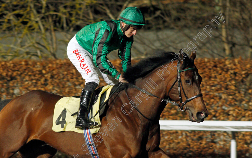 Hello-Sydney 
 HELLO SYDNEY (Tom Marquand)
Kempton 2 Mar 2022 - Pic Steven Cargill / Racingfotos.com