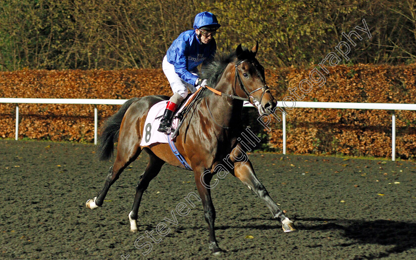 Returning-Glory-0001 
 RETURNING GLORY (Jimmy Quinn) Kempton 13 Dec 2017 - Pic Steven Cargill / Racingfotos.com