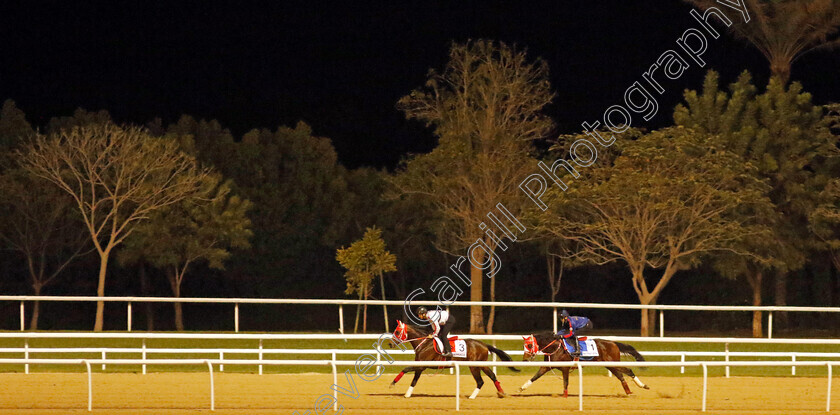 Panthalassa-and-Bathrat-Leon-0003 
 PANTHALASSA training for The Dubai World Cup ahead of BATHRAT LEON (right) training for The Godolphin Mile
Meydan, Dubai, 22 Mar 2023 - Pic Steven Cargill / Racingfotos.com