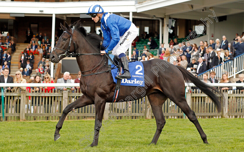 Emaraaty-0001 
 EMARAATY (Jim Crowley) Newmarket 14 Oct 2017 - Pic Steven Cargill / Racingfotos.com