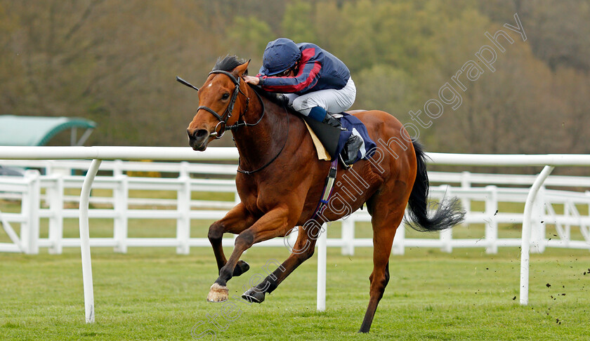 Turn-On-The-Charm-0002 
 TURN ON THE CHARM (William Buick) wins The Download The Novibet App Handicap
Lingfield 8 May 2021 - Pic Steven Cargill / Racingfotos.com