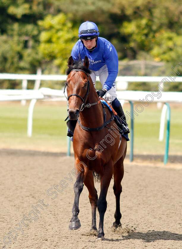 Mokhles-0001 
 MOKHLES (Oisin Murphy) 
Lingfield 25 Jul 2018 - Pic Steven Cargill / Racingfotos.com