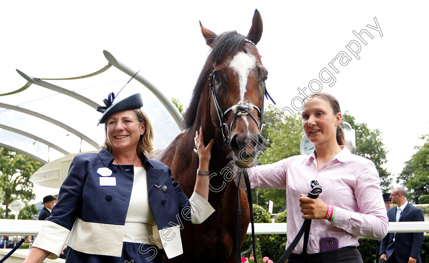 Accidental-Agent-0014 
 ACCIDENTAL AGENT and trainer Eve Johnson-Houghton after The Queen Anne Stakes
Royal Ascot 19 Jun 2018 - Pic Steven Cargill / Racingfotos.com