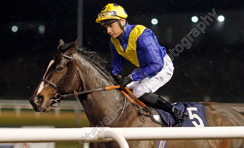 Deal-A-Dollar-0001 
 DEAL A DOLLAR (Callum Shepherd) 
Wolverhampton 13 Jan 2020 - Pic Steven Cargill / Racingfotos.com