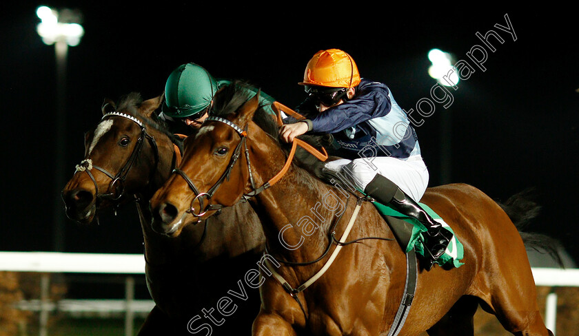 Madame-Tantzy-0005 
 MADAME TANTZY (right, Charles Bishop) beats NOOSHIN (left) in The 32Red On The App Store Fillies Novice Stakes Div2
Kempton 23 Mar 2019 - Pic Steven Cargill / Racingfotos.com