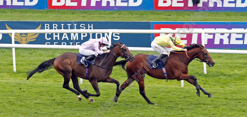 La-Yakel-0001 
 LA YAKEL (Tom Marquand) beats SIMPLY SONDHEIM (left) in The PJ Towey Construction Handicap
Doncaster 16 Sep 2023 - Pic Steven Cargill / Racingfotos.com