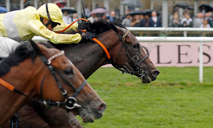 Final-Watch-0001 
 FINAL WATCH (Neil Callan) wins The Boodles Handicap
Newmarket 14 Jul 2023 - Pic Steven Cargill / Racingfotos.com