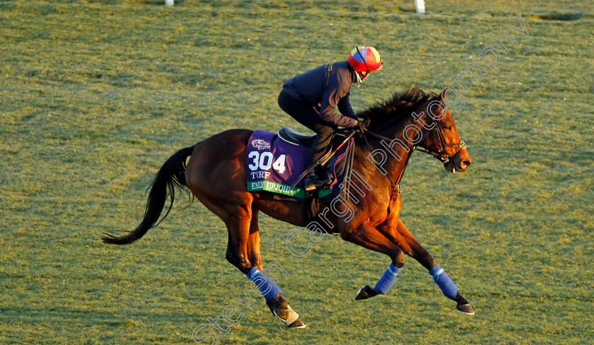 Emily-Upjohn-0002 
 EMILY UPJOHN (Frankie Dettori) training for the Breeders' Cup Turf
Del Mar USA 30 Oct 2024 - Pic Steven Cargill / Racingfotos.com