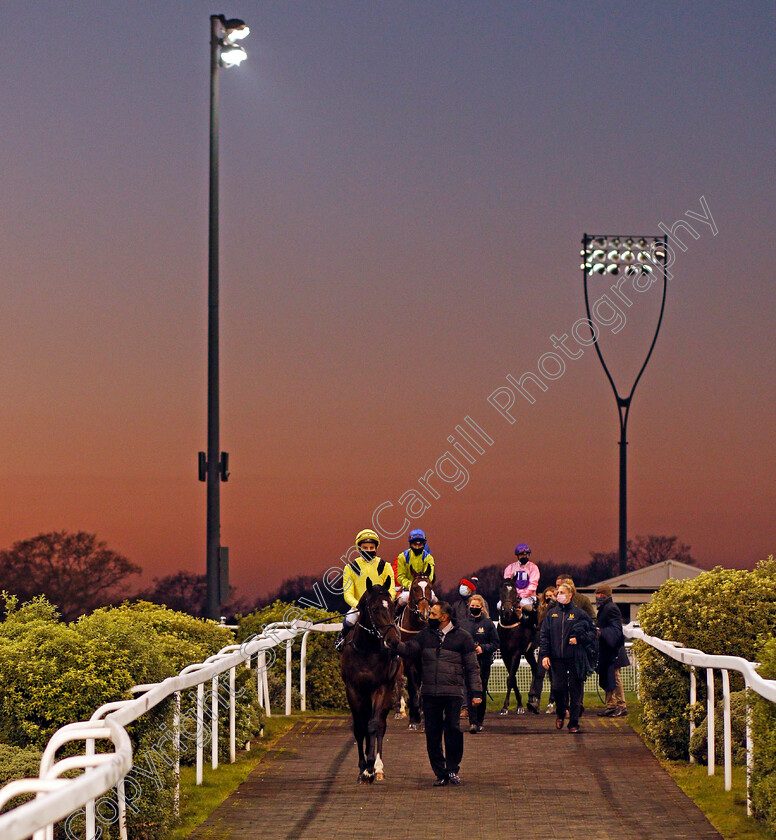 Torrkee-0001 
 TORRKEE (William Buick) leads the field to the track
Chelmsford 26 Nov 2020 - Pic Steven Cargill / Racingfotos.com