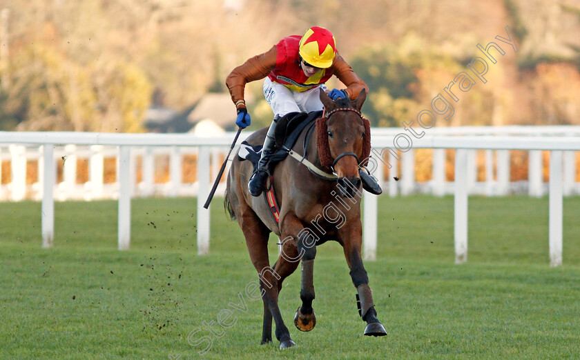 Graceful-Legend-0001 
 GRACEFUL LEGEND (Max Kendrick) wins The Trisoft Mares Handicap Hurdle Ascot 25 Nov 2017 - Pic Steven Cargill / Racingfotos.com