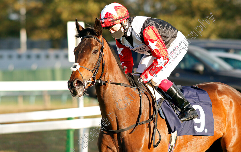 Warren-Rose-0003 
 WARREN ROSE (Oisin Murphy) winner of The Download The Attheraces App Fillies Novice Stakes
Yarmouth 25 Aug 2020 - Pic Steven Cargill / Racingfotos.com