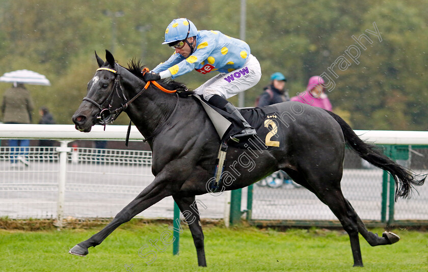 Dashing-Roger-0003 
 DASHING ROGER (Kieran Shoemark) wins The Trustatrader For Tradespeople You Can Trust Handicap
Nottingham 11 Oct 2023 - Pic Steven Cargill / Racingfotos.com