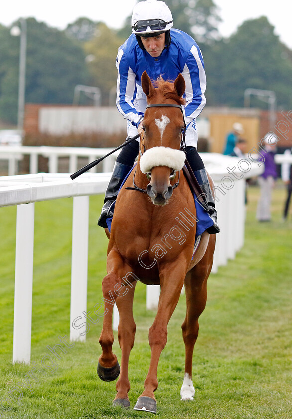 Queen-Me 
 QUEEN ME (Tom Eaves)
York 18 Aug 2022 - Pic Steven Cargill / Racingfotos.com