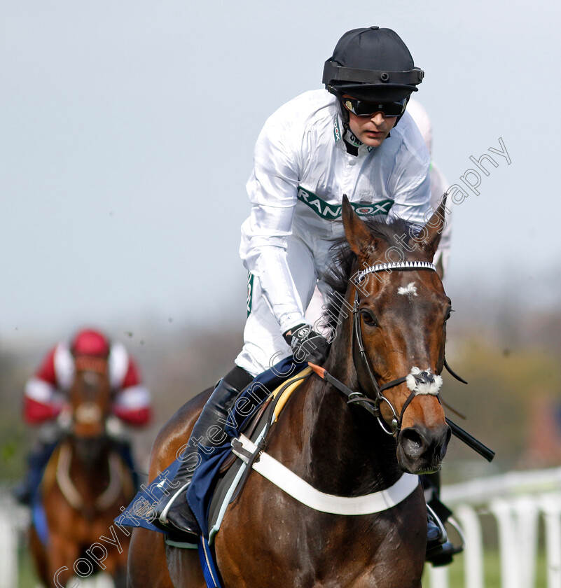 Constitution-Hill-0001 
 CONSTITUTION HILL (Nico de Boinville) wins The William Hill Aintree Hurdle
Aintree 13 Apr 2023 - Pic Steven Cargill / Racingfotos.com