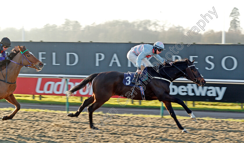 Cardano-0002 
 CARDANO (Richard Kingscote) beats CENTROID (left) in The Betway Handicap
Lingfield 9 Jan 2021 - Pic Steven Cargill / Racingfotos.com