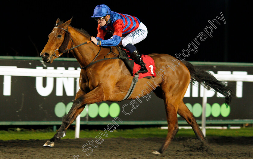 Home-Before-Dusk-0004 
 HOME BEFORE DUSK (Callum Rodriguez) wins The 32Red.com Handicap
Kempton 19 Feb 2020 - Pic Steven Cargill / Racingfotos.com