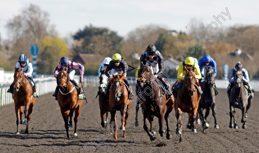 Lavender s-Blue-0002 
 LAVENDER'S BLUE (Robert Havlin) wins The Unibet Snowdrop Fillies Stakes
Kempton 5 Apr 2021 - Pic Steven Cargill / Racingfotos.com