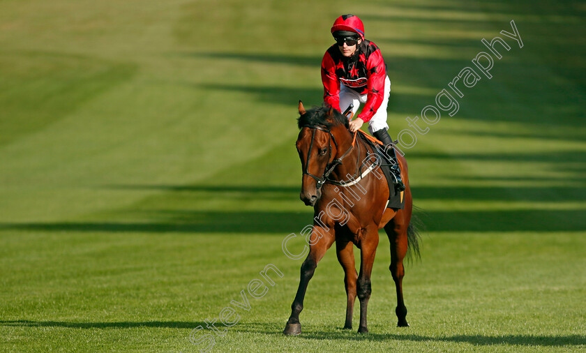 Roman-Centurion-0001 
 ROMAN CENTURION (Richard Kingscote)
Newmarket 9 Aug 2024 - Pic Steven Cargill / Racingfotos.com