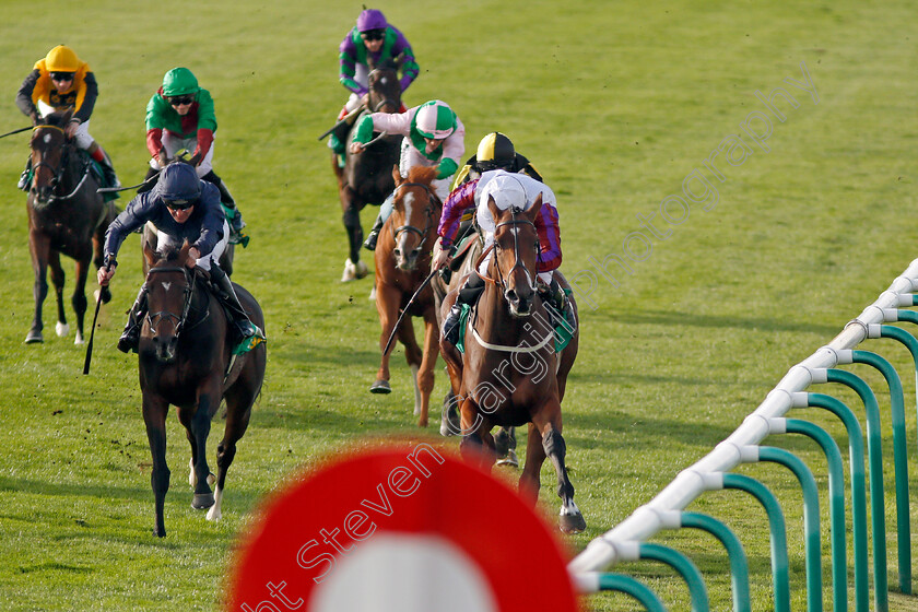 Laurens-0005 
 LAURENS (right, P J McDonald) beats SEPTEMBER (left) in The bet365 Fillies Mile Newmarket 13 Oct 2017 - Pic Steven Cargill / Racingfotos.com